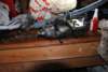 fuel_injection034_small.jpg